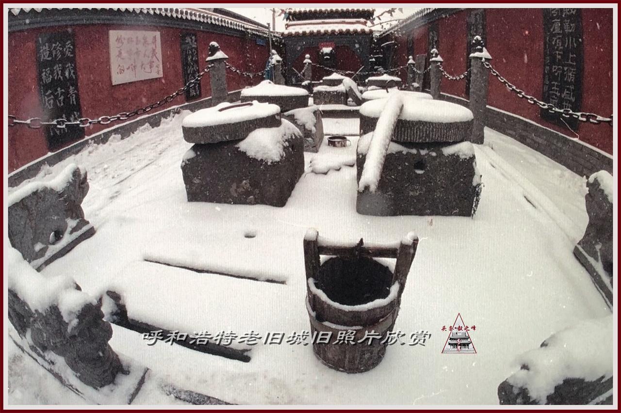 分享呼和浩特旧照片和口头语：先聊一个呼市人有意思的方言口头语“一刮羔子”，估计现