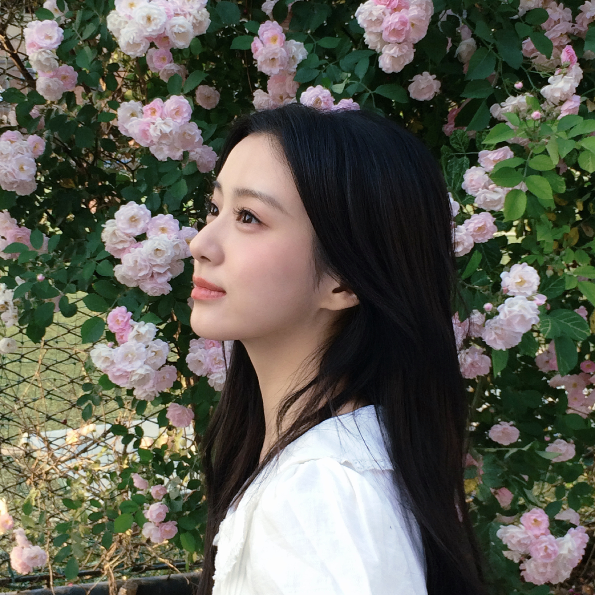 包上恩 bse包上恩任瑶期 bse包上恩窈窈有期 当世界凉如荒岛 我们依然会是彼