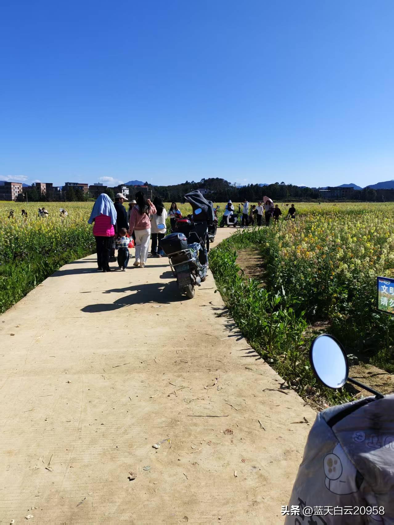 村里有两兄弟，哥哥名牌大学毕业，留在上海发展，弟弟只读了个专科，回到县城工作。