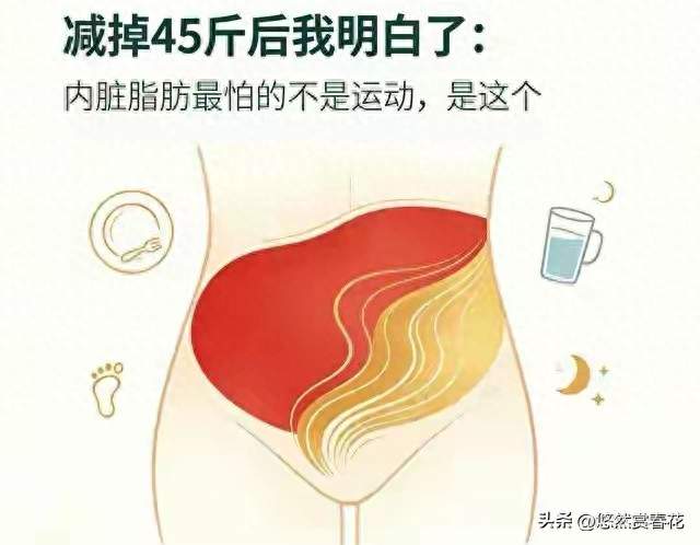 腰围缩17厘米，我悟了：内脏脂肪怕的不是运动，是稳住这件事
