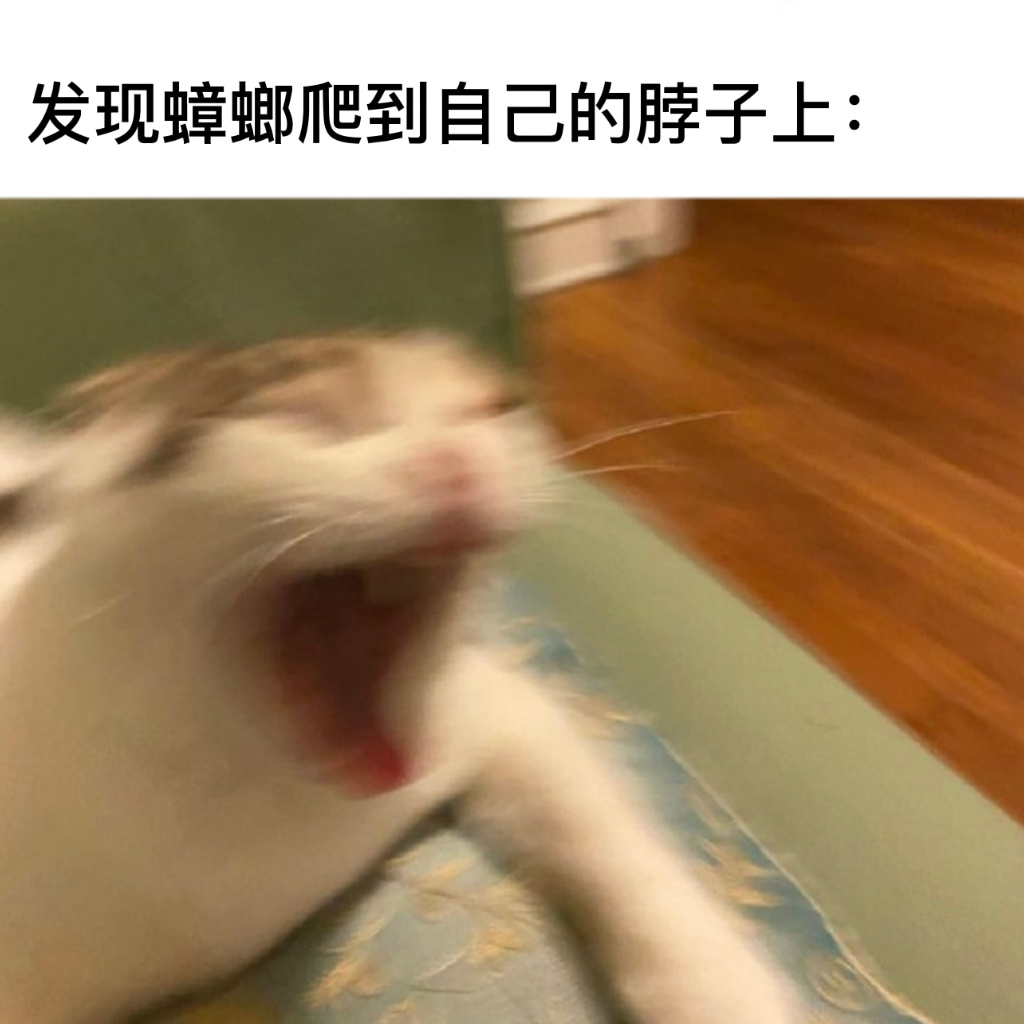 这谁受得了#今日memes# ​​​