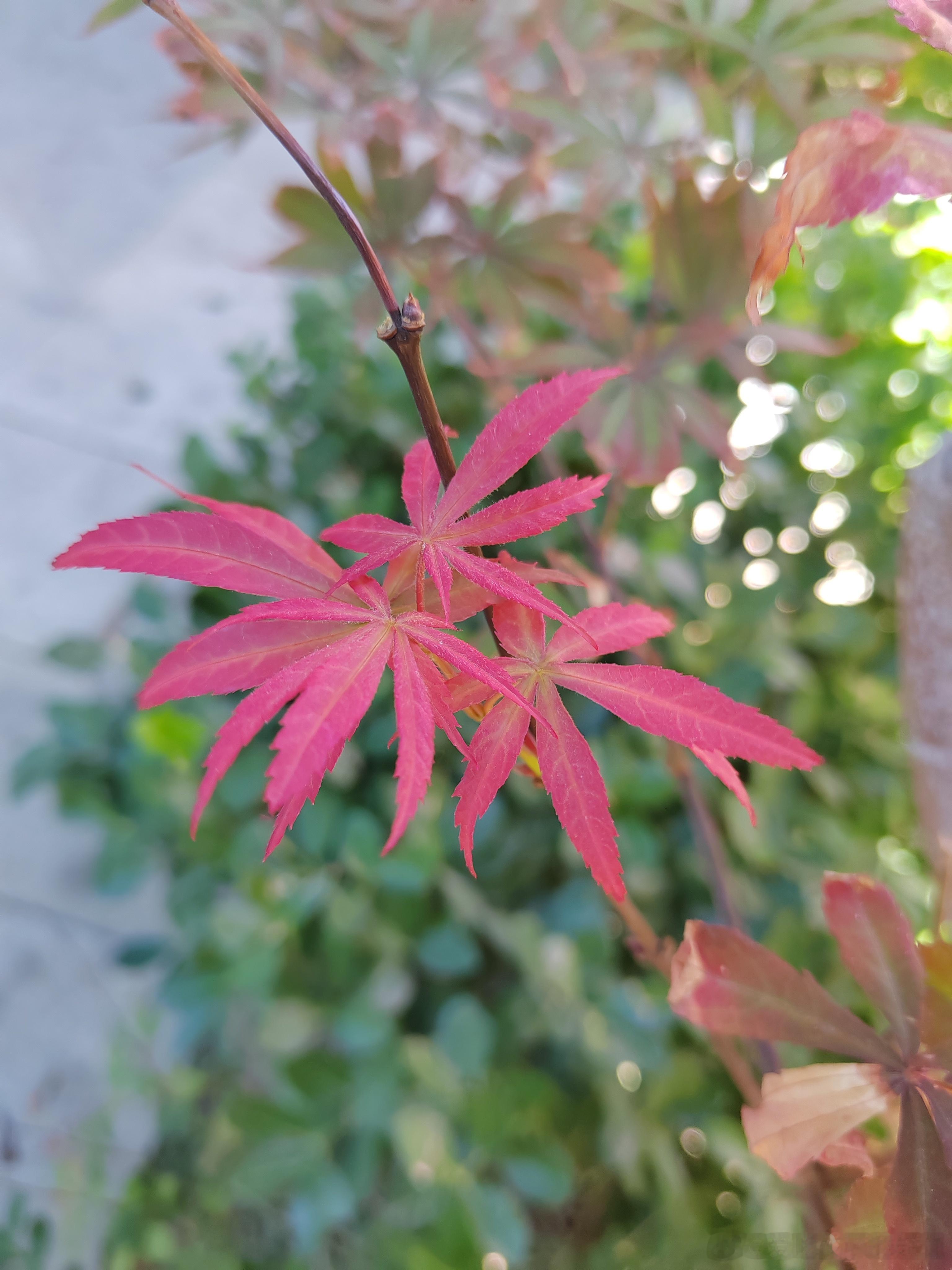 后来慢慢明白，感情从不是单方面的奔赴，是我主动走向你，你也愿意朝我靠近。单方面的