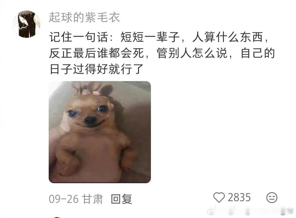 为什么有的人从来不内耗 他们好像自带“过滤系统”，不纠结没发生的事，不反复咀嚼别