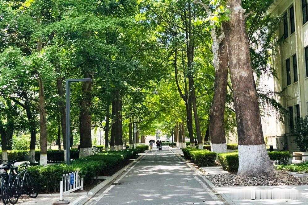 北交所打新“闭眼申购”时代结束了

欧伦电气的股价，今天上午最低已来到39.36