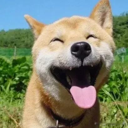 人就应该像这位医生那样活着，率性洒脱。

能把事业当成快乐源泉的人，是幸福的，这