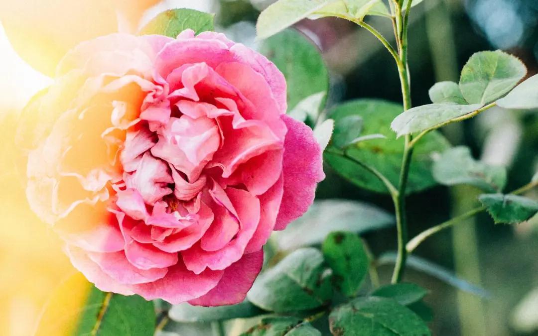 有人说，“一般情况下，对一个人越是在乎，越会为她牵动心神，一天到晚不放心的叮嘱她