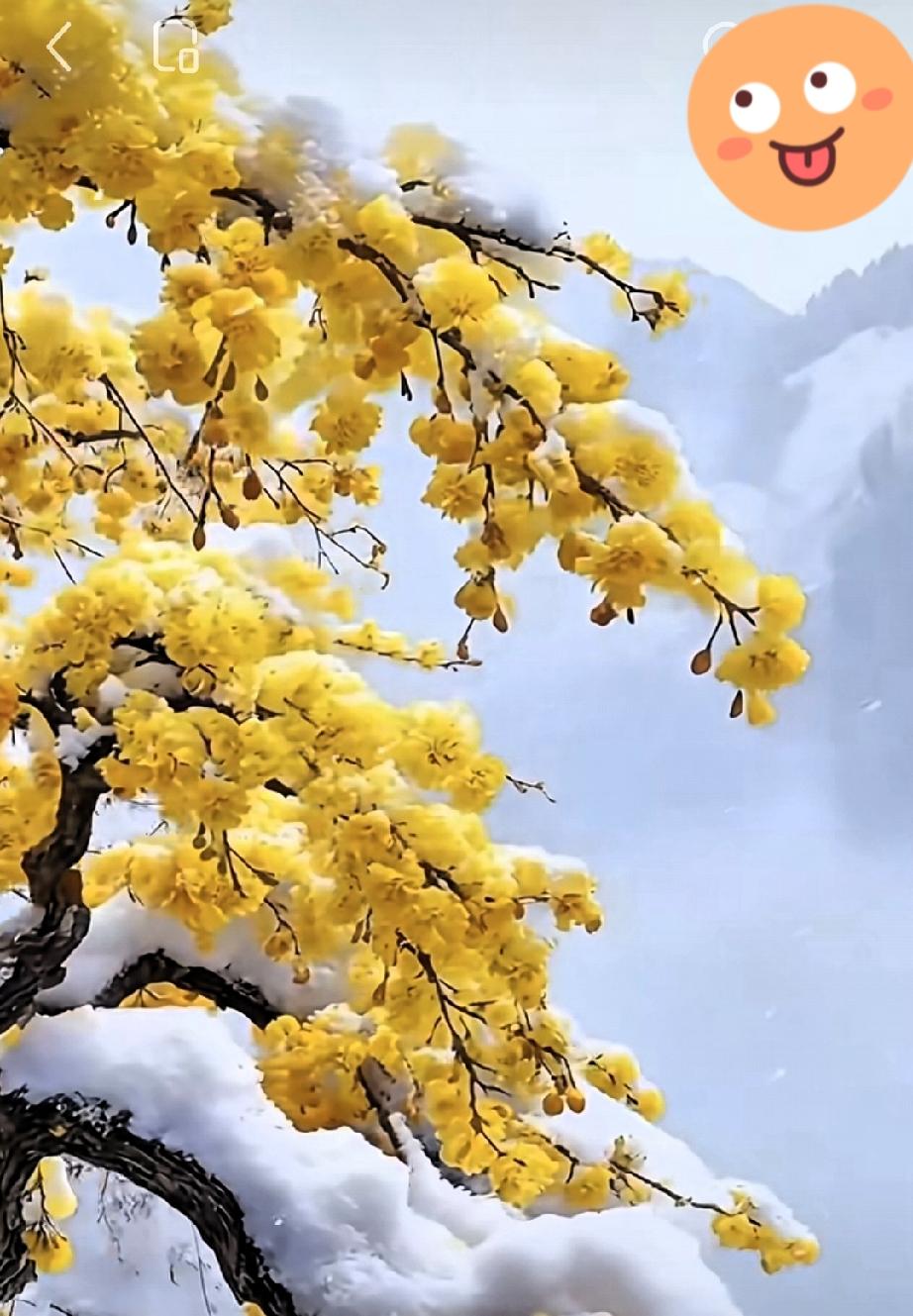 结婚后才明白，不论娘家的路，婆家的路，夫妻之间和子女之间的路，都需要你用金钱和感