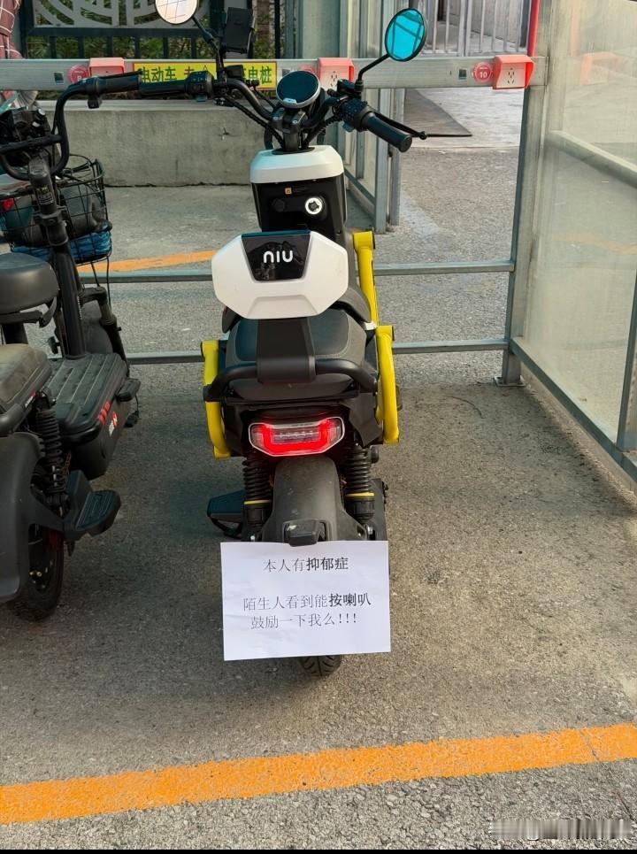 还有这种要求？下次我也贴一个，本人神经衰弱，请别在后面滴我！