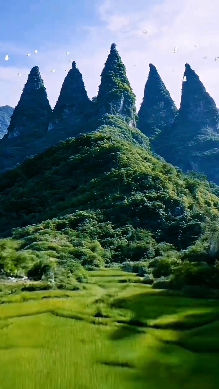 笔阵山风景。
兄弟同料，父子联芳。