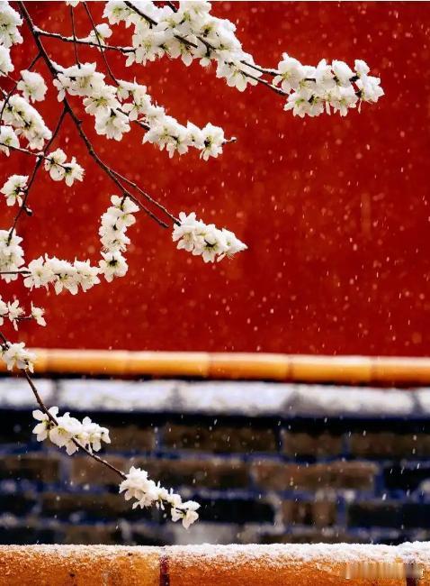 北京迎瑞雪，故宫雪花飘～ 