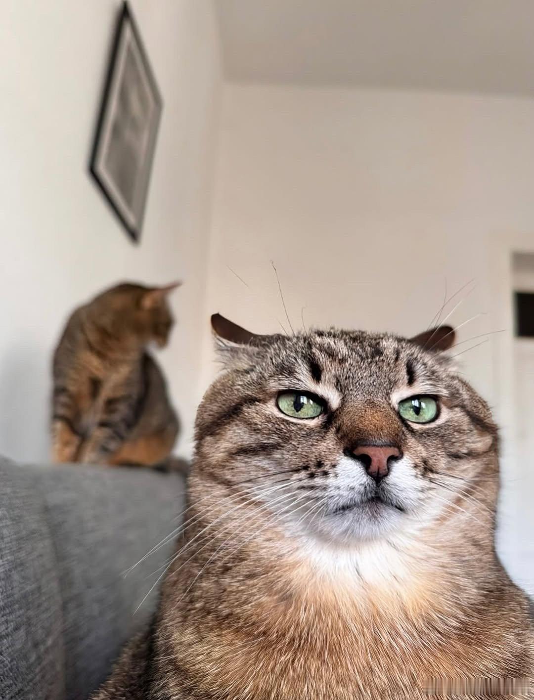 阴阳怪气帅哥斯特潘😍      .. cr：loveyoustepan 