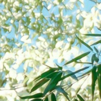 每日一善 每日一善 阳光信用 怀着对这个世界的好奇，与这个世界不断地碰撞，不断地