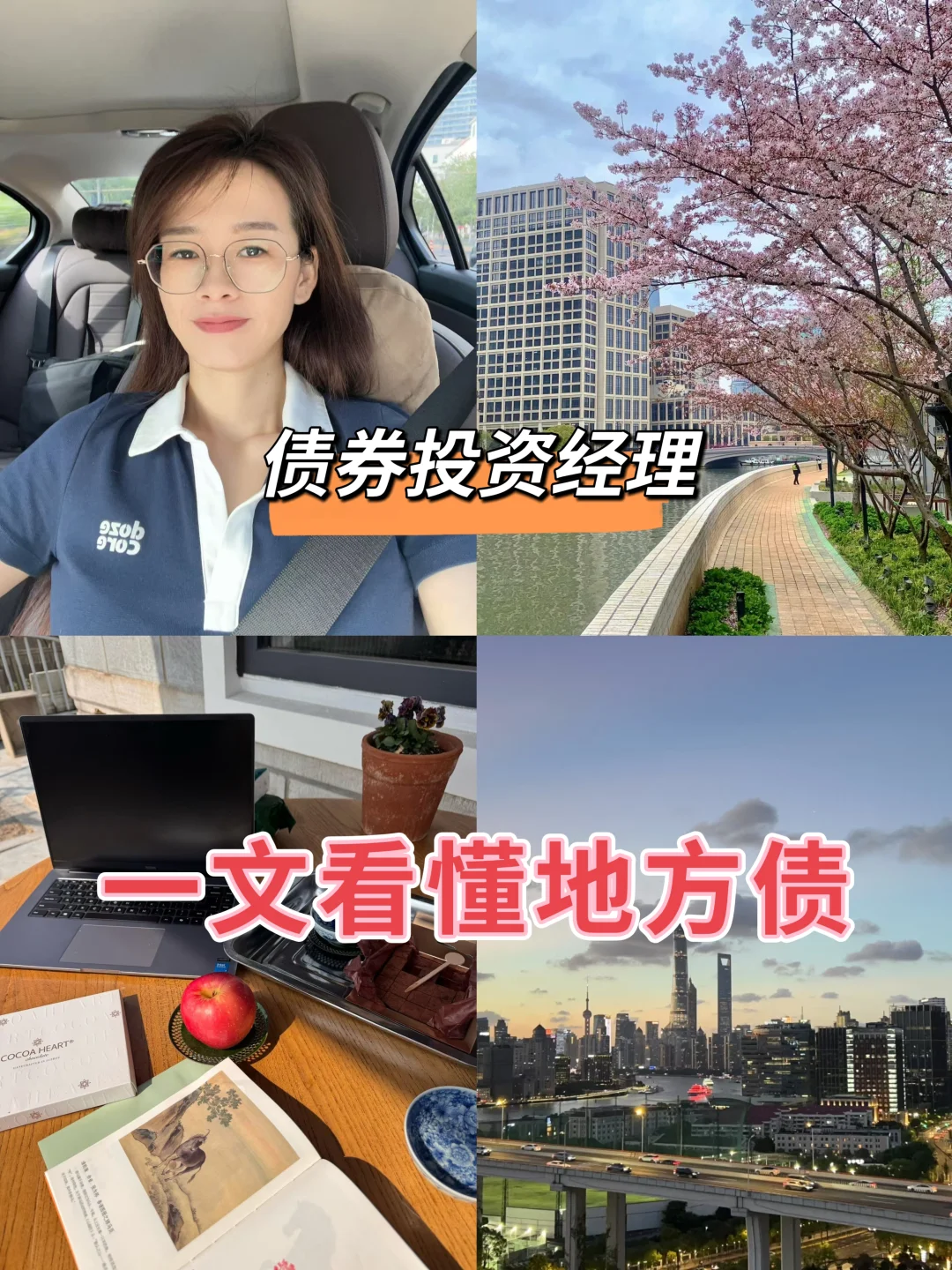 债券投资经理，一文看懂地方债