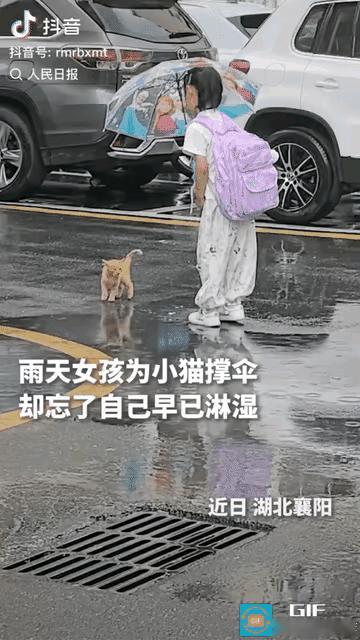 真的被这一幕狠狠打动了！湖北襄阳一场小雨里，6岁小女孩的暖心举动，被妈妈随手拍下