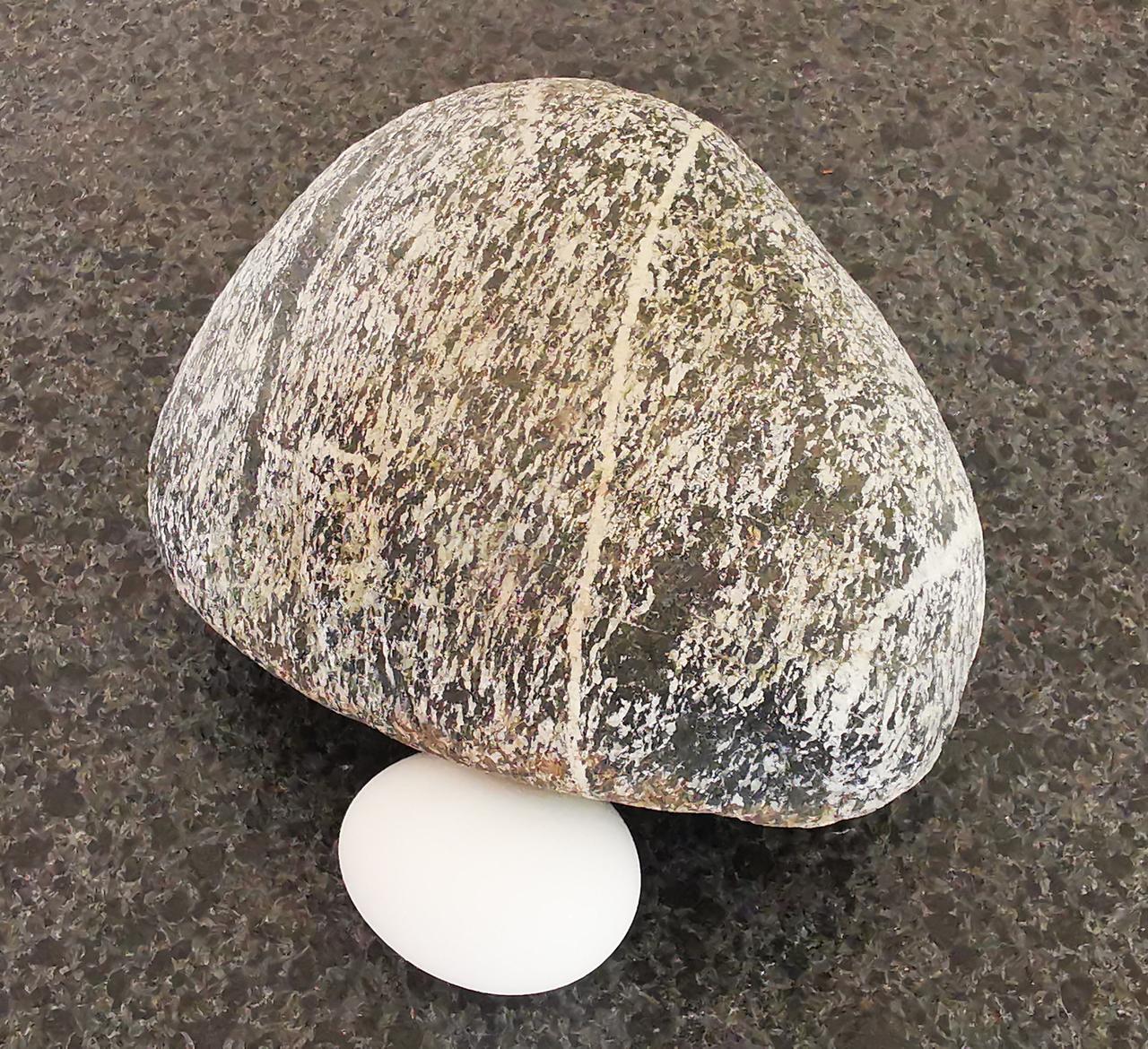 一往鸡蛋碰石头，
都知道是什么结果。
这回石头主动碰鸡蛋，
反而不知道结果了？