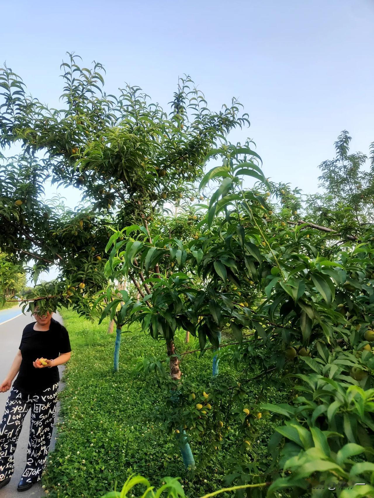 当我住进加号健那里，儿子得知以后，匆匆忙忙来看我一眼 ，要回去上班，女儿要忙着去