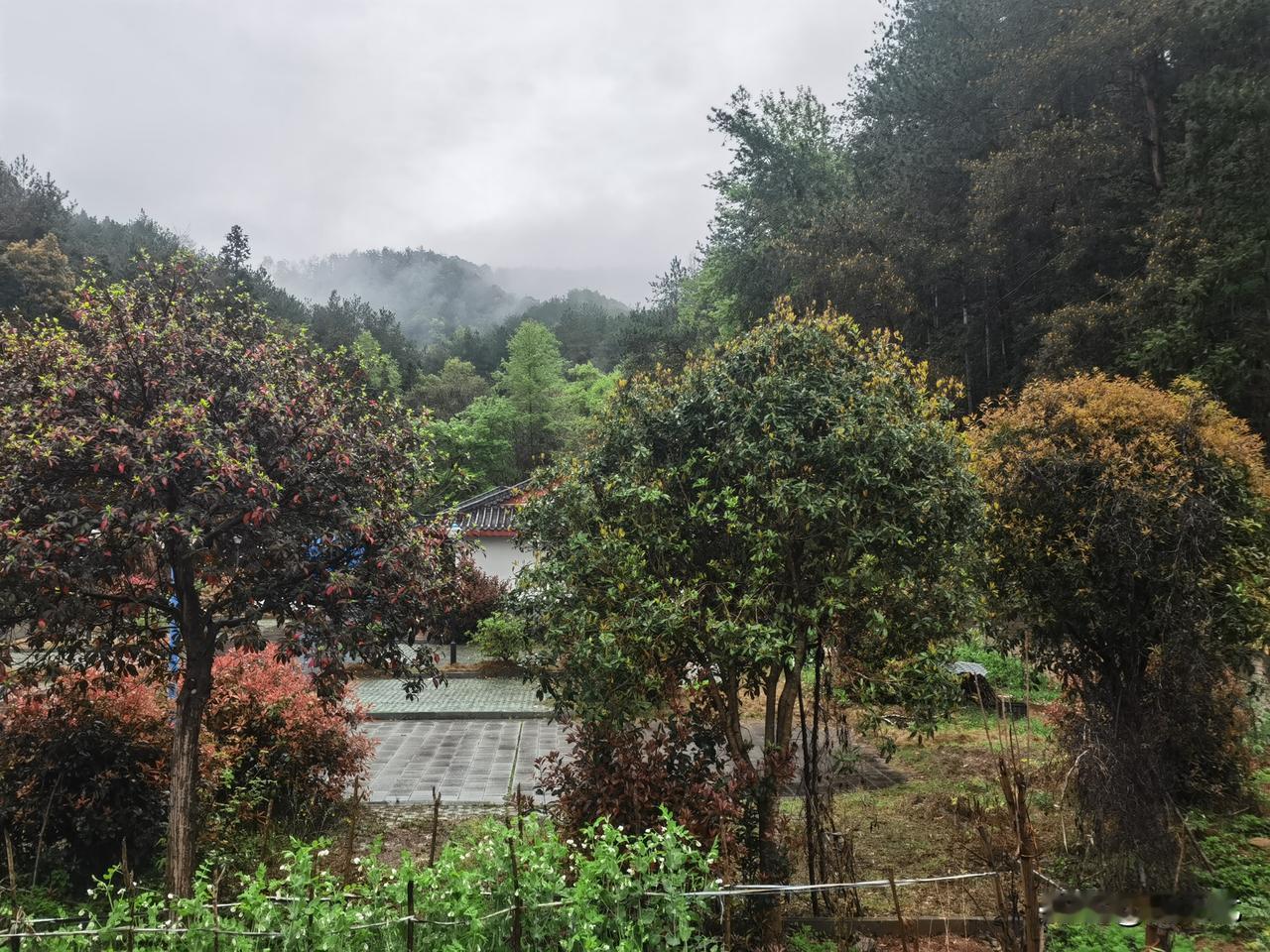 大A突破前期高点，就极有可能向4500点前进。
最近大A的走势图越来越好看了。
