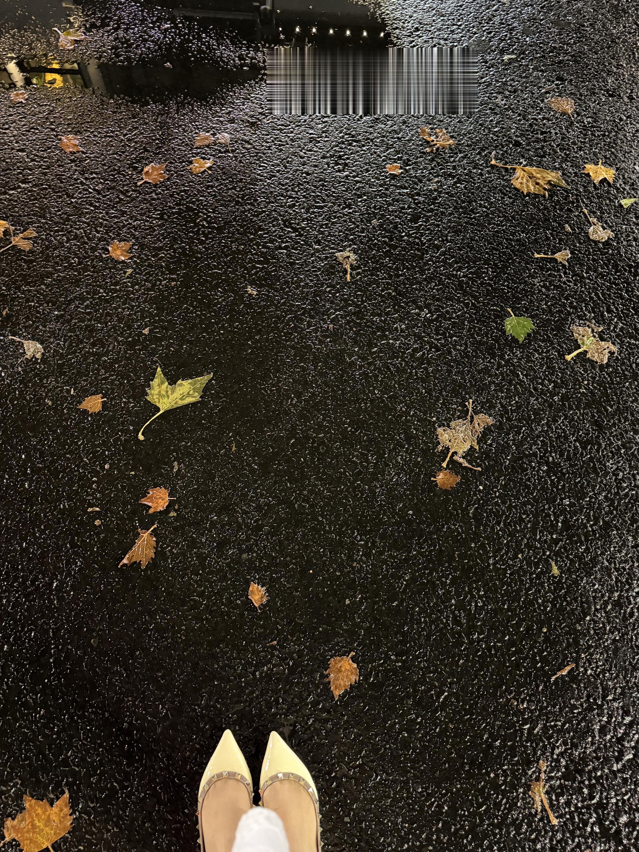 夏天雨后的夜晚，微风，晚上七点，散步是件很舒服的事情