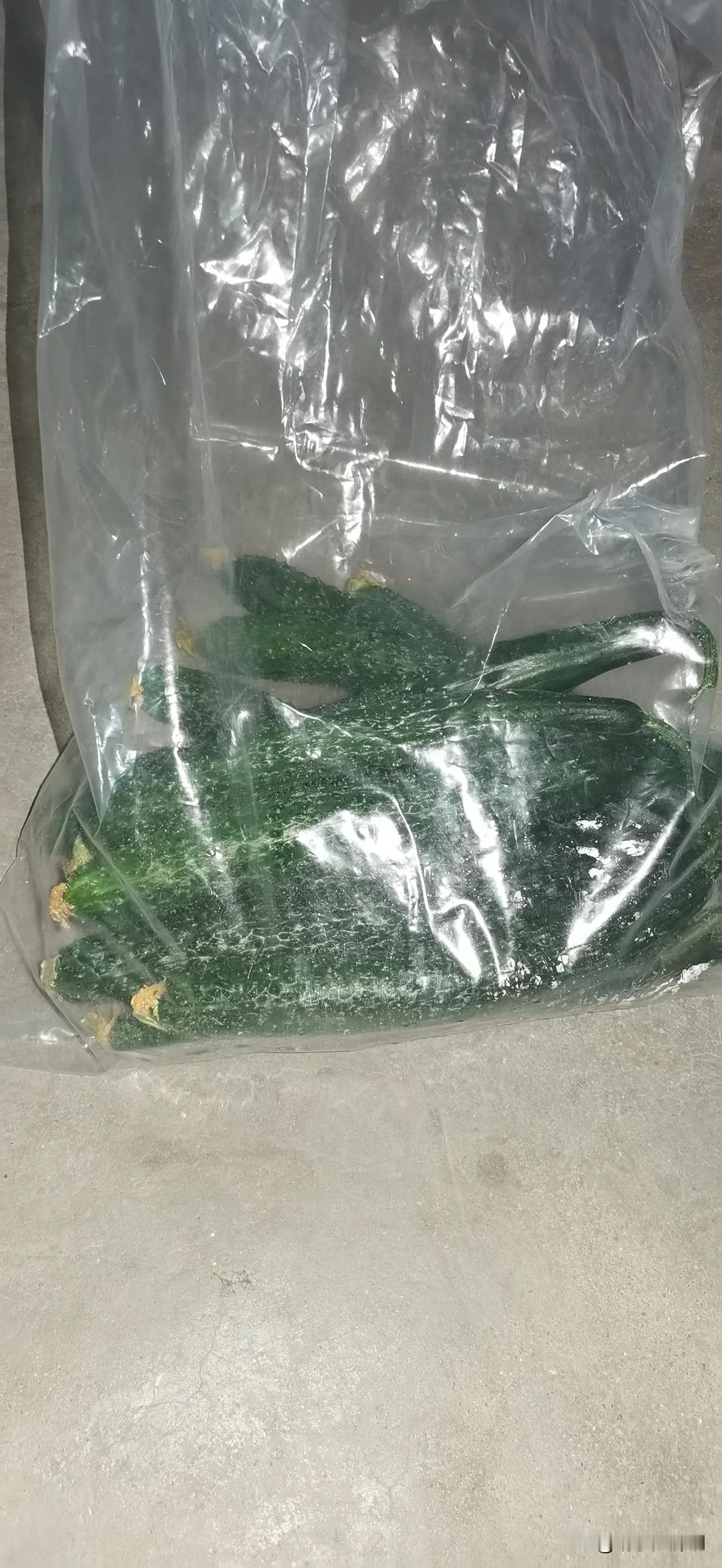 平邑实施静态管理第8天，今天花了15块钱买了5斤黄瓜，都是现摘的挺新鲜的