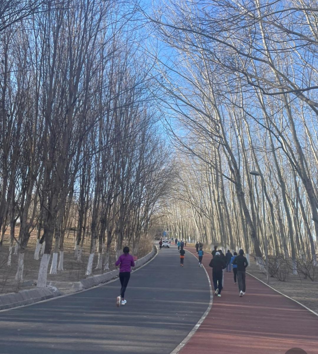 今年冬天的不同 今年冬天我开启了每天跑步锻炼的模式。一开始那叫一个手忙脚乱，每一