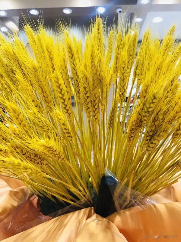 “年年顺顺利利”求下联，我觉得“岁岁平平安安”就很不错。“年年”对应“岁岁”，时