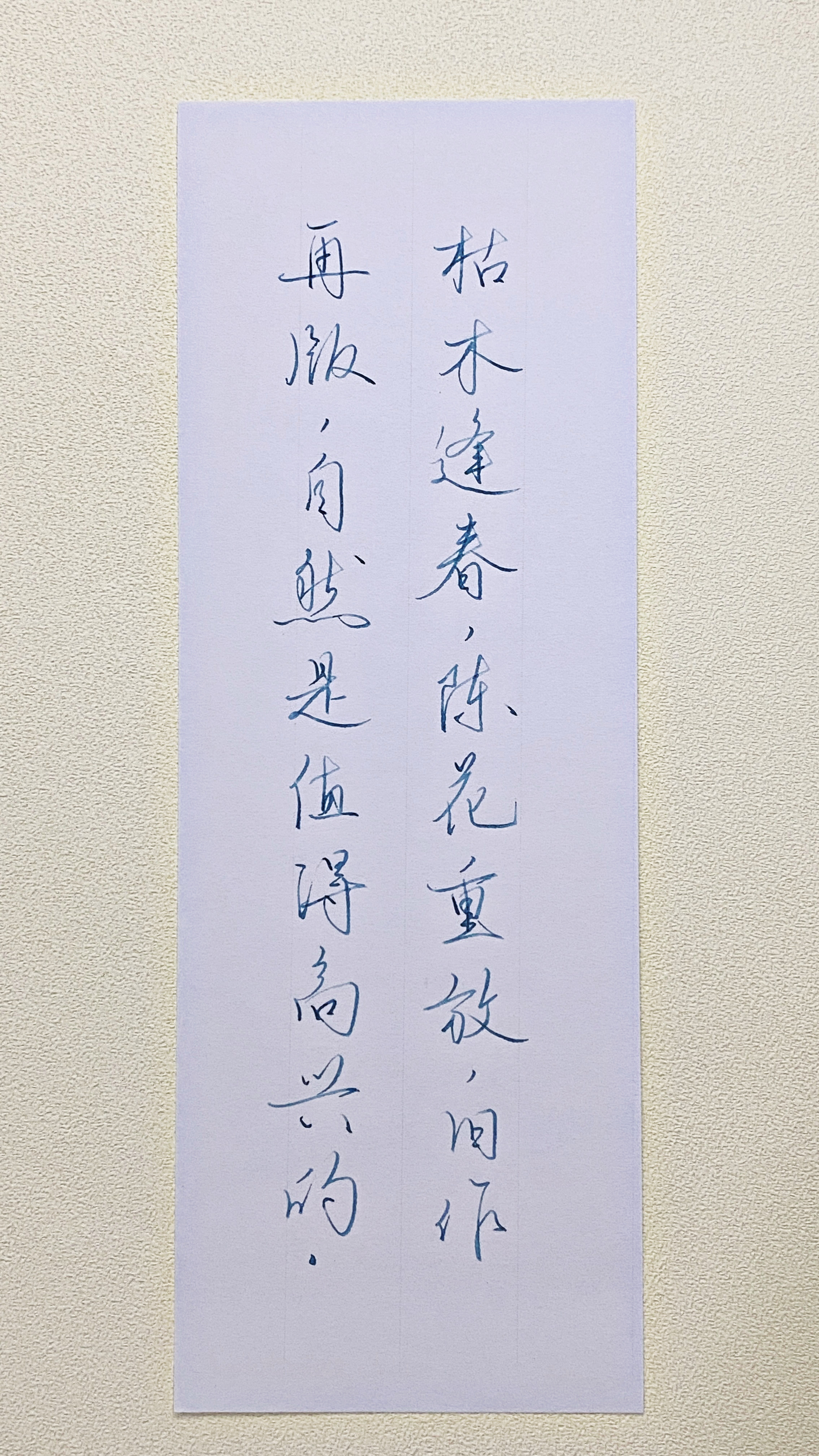 今日作业（2026.8.24）枯木逢春，陈花重放，旧作再版，自然是值得高兴的。—