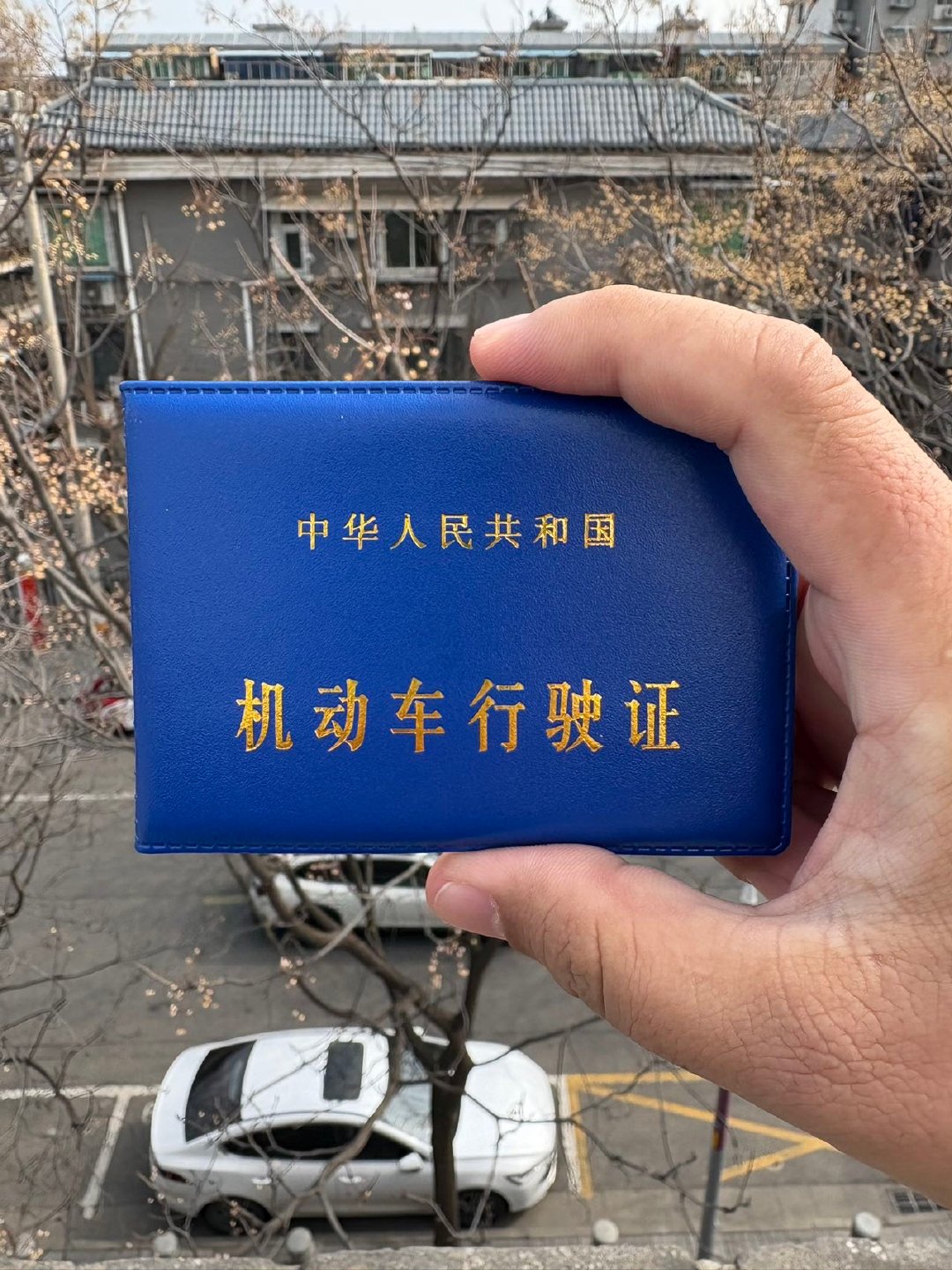 上周闯红灯了，明天去处理一下违法，还不知道具体情况，交通安全很重要，开车上路以我