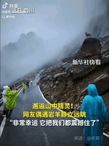 彻底解释不清了！
连新华社都忍不住转发了。
四川，网友在莲宝叶则的山路中徒步，竟