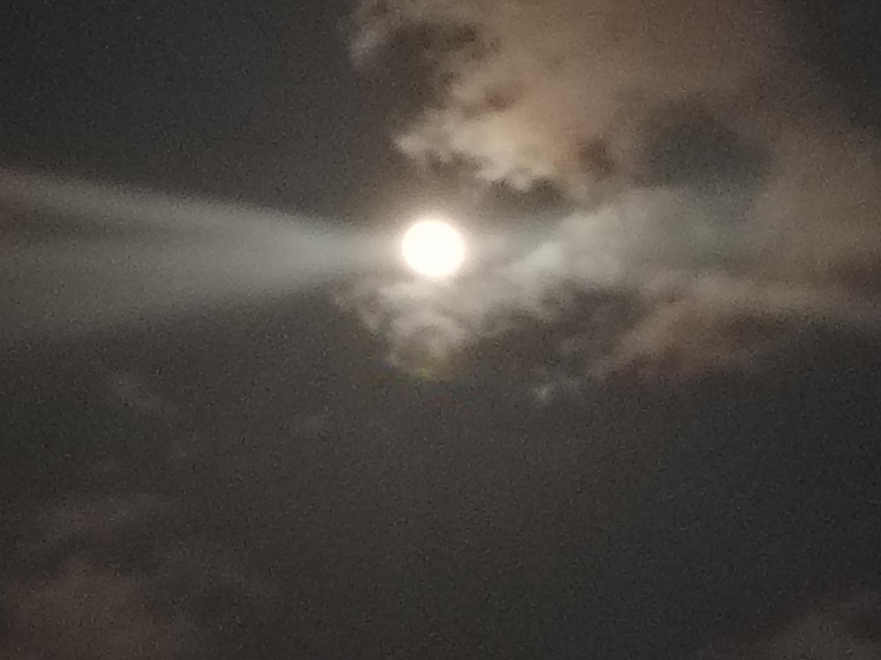 家乡窗前的初春之夜，云影稀疏，月色格外清丽。林立的高楼在月光下耸入云端，既显壮观
