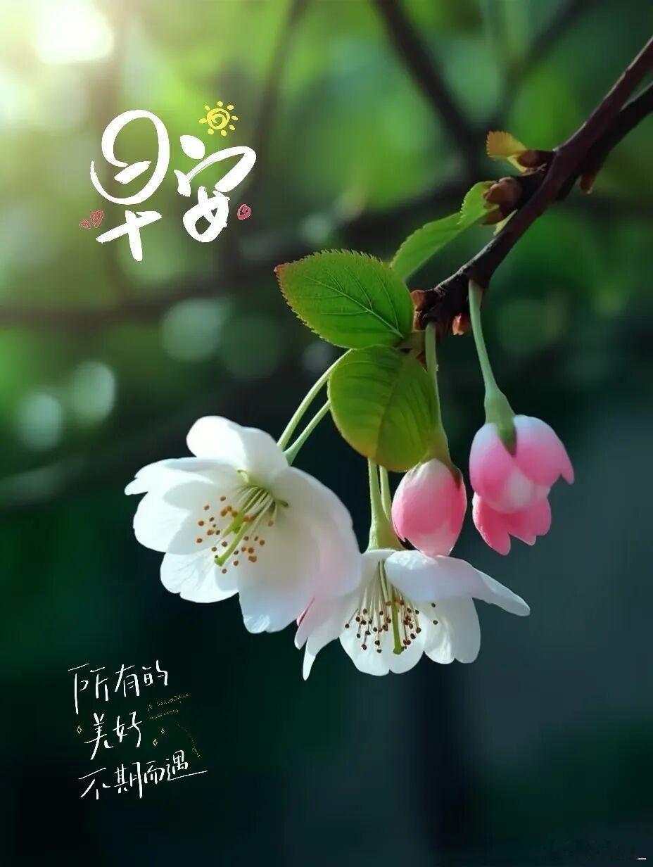 不为所做所为而后悔唯独对于没做的事，总是后悔莫及。总想与遗憾告别，而它已入眠，所