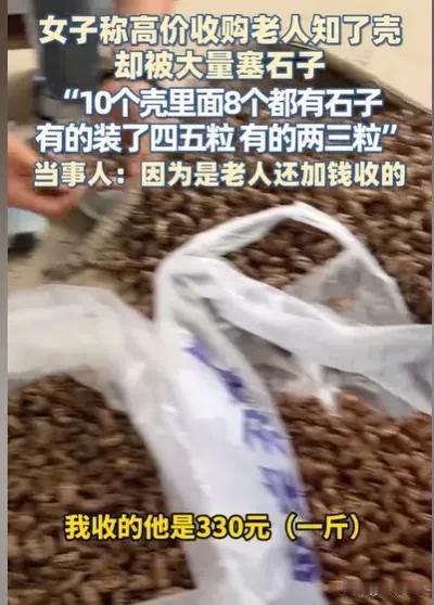陕西铜川，女子去收知了壳，一斤325元，她一收就一发不可收拾，收了很多，特别是在