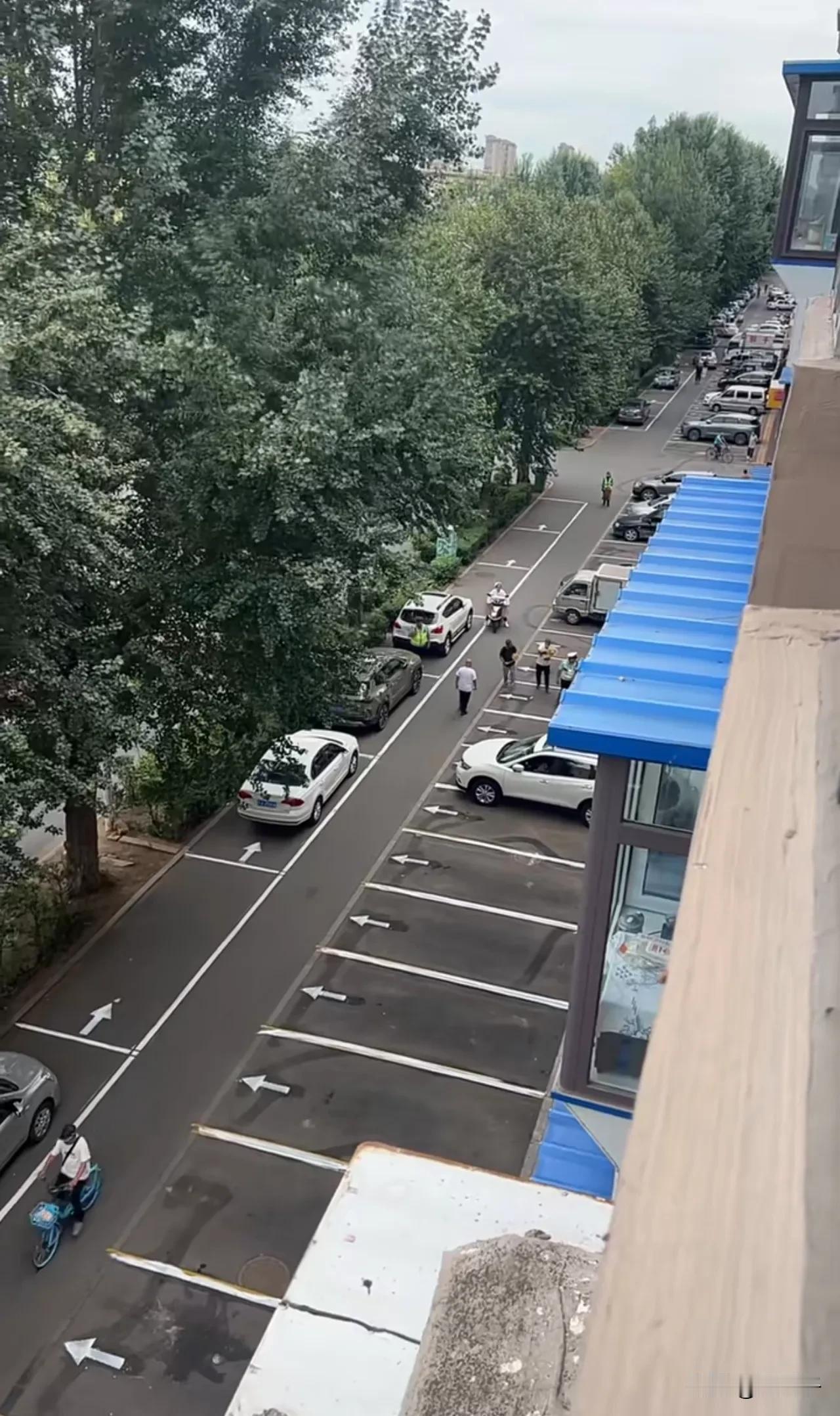 阜新太平区红树路南金剑小区路段最近新画了停车位，引起附近居民不小的争议。有人认为