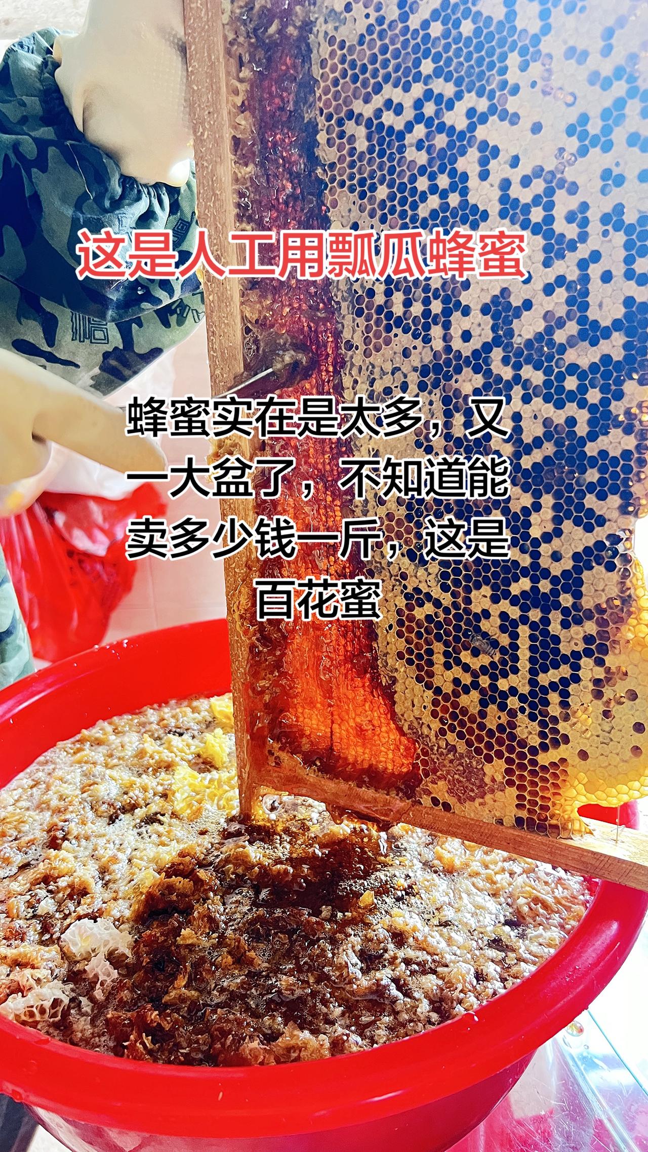 这是农村养的土蜜蜂，今天又搞了一大盆，不知道怎么卖出去了，能值多少钱一斤呢？取蜜