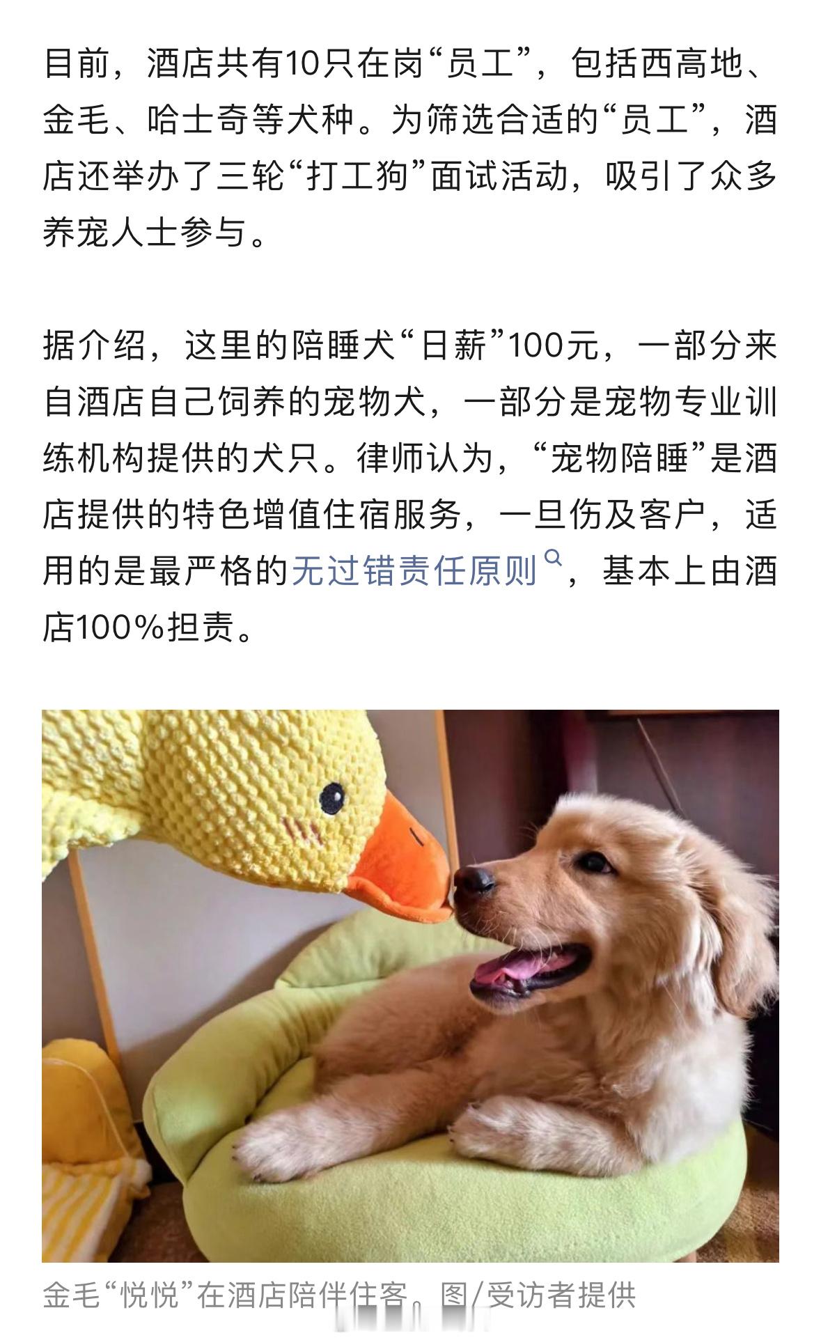 【武汉一酒店推出宠物陪睡服务[doge]】房费从299涨到499，每只“上岗”狗