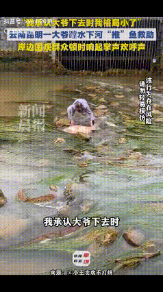 “万万没想到！”近日，在昆明一处河道，几条大鱼搁浅，不少市民围观，人群中一位大爷