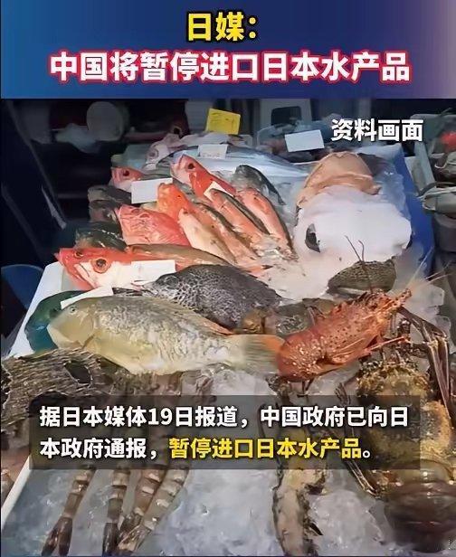 必须为这波果断操作点赞！核污染水排海阴影未散，食品安全容不得半点侥幸，暂停进口是