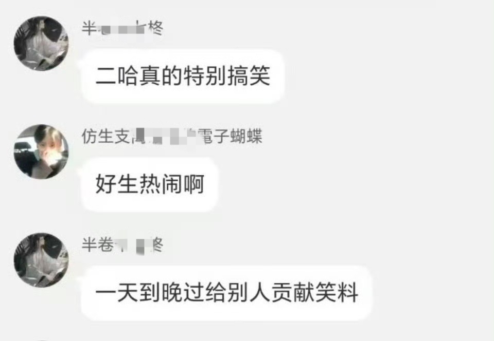 糊比还装上了为什么人人都看不起low因为low大粉自己也看不起low