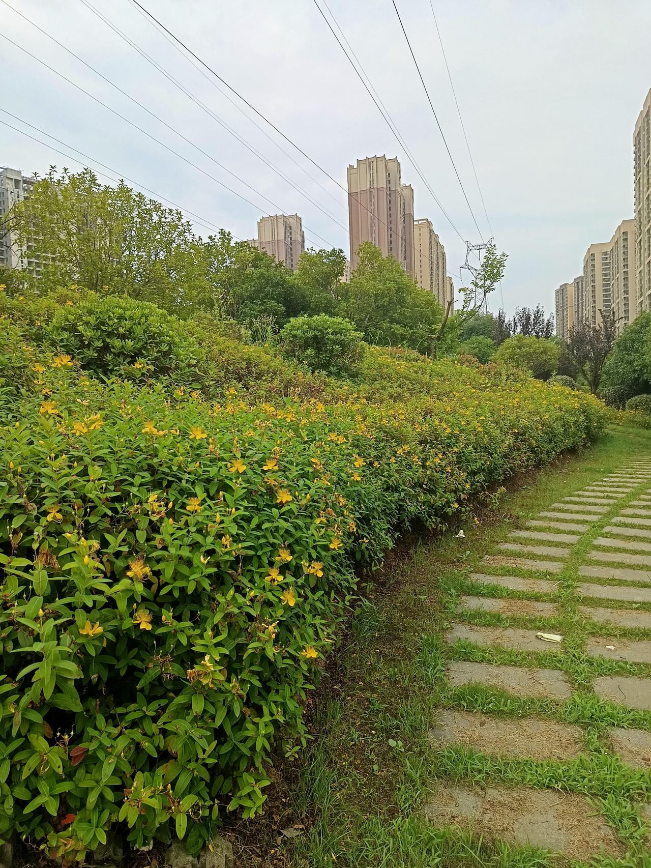 笔墨论球决战世界杯一个人的衰老是自然规律，但是人不会一下子就衰老，衰老是慢性的，