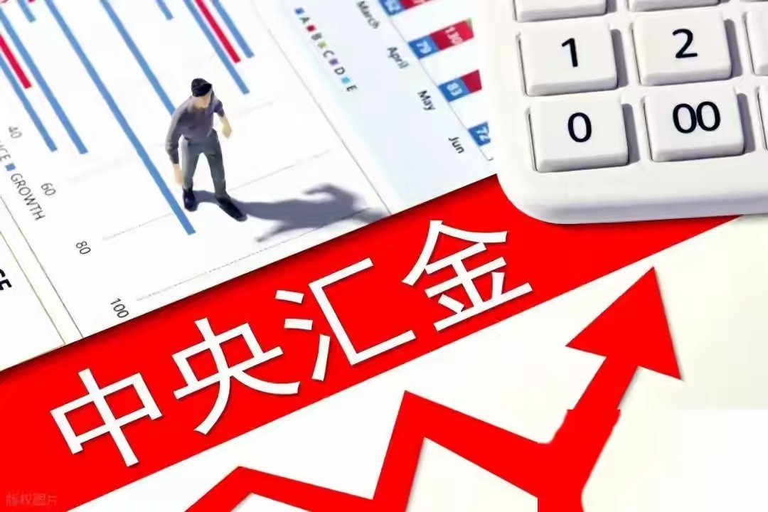 中央汇金常年重仓的6只2元股！2家世界500强仍在横盘，机会还是陷阱？🔥 横盘