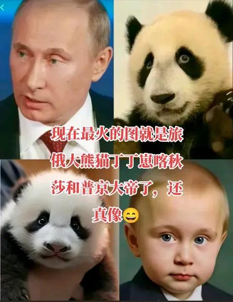 一方水土养一方熊，喀秋莎真会连像，不仅俄里俄气，还普里普气，更京里京气，看见他就