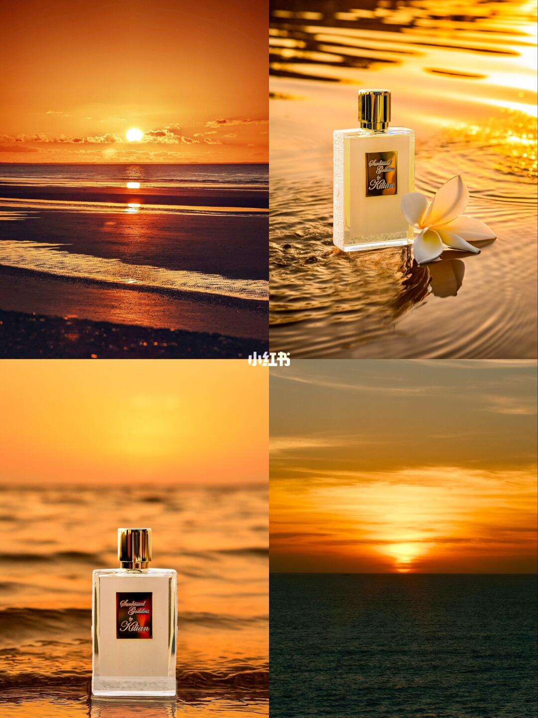 𝓢𝓾𝓷𝓴𝓲𝓼𝓼𝓮𝓭 𝓢𝓾𝓶𝓶𝓮𝓻