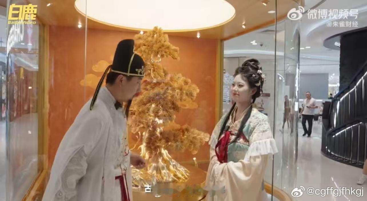 8月遇上西安好运黄金树八月奔赴长安，打卡钟楼天台金灿灿的好运黄金树✨金叶随风摇曳