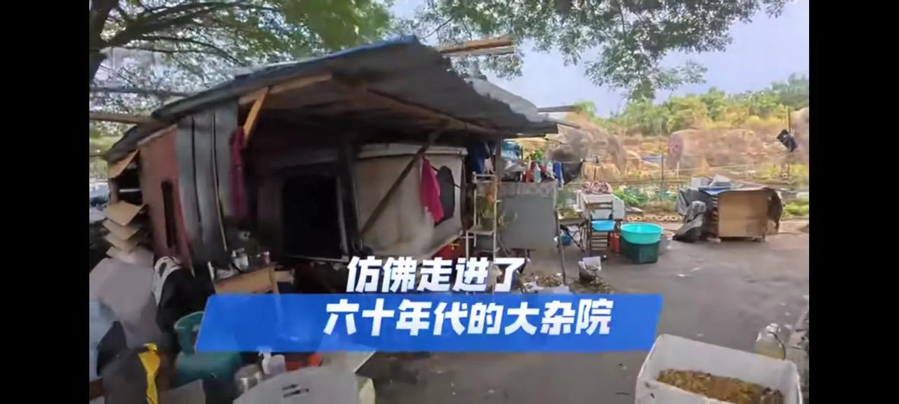 这样子的自驾游确实不受海南人待见！
本来能停放50辆车的广场上，就停了十来辆，各