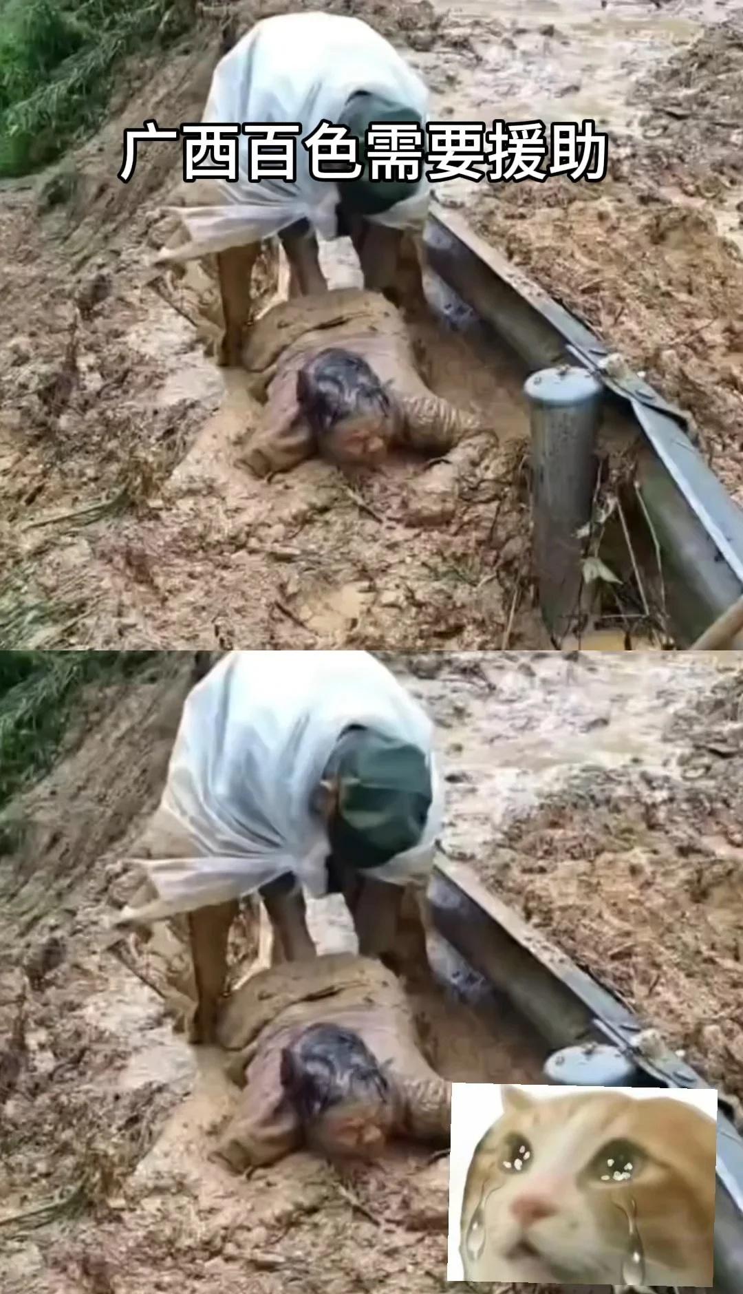 水灾无情人间有爱，广西百色需要援助🙌
救援 洪水 广西广西百色广西水灾 广西百