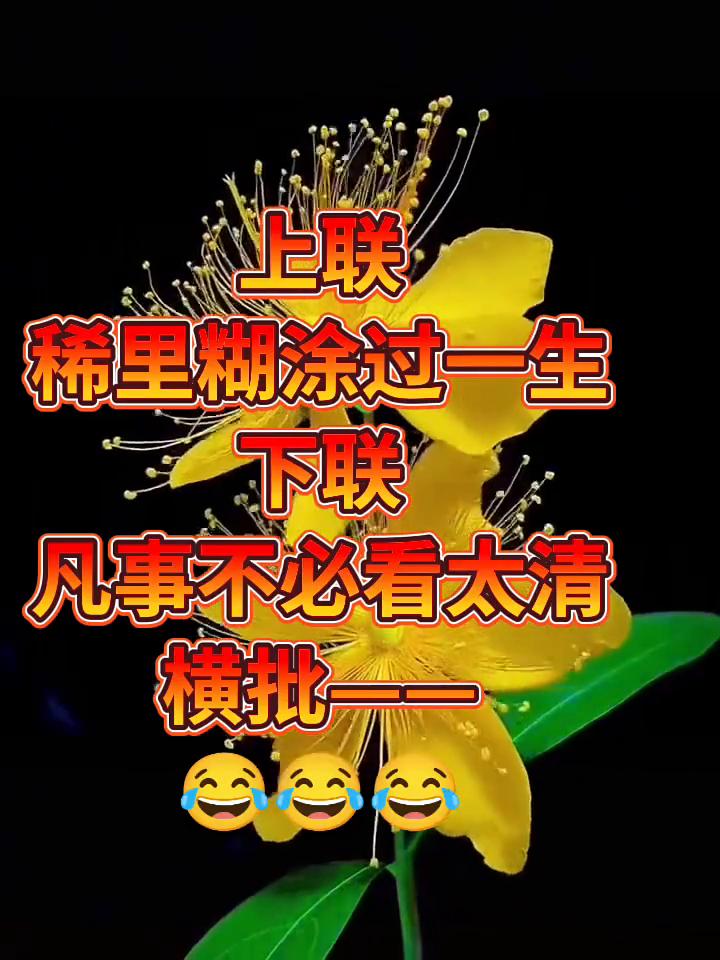 哈哈哈哈。