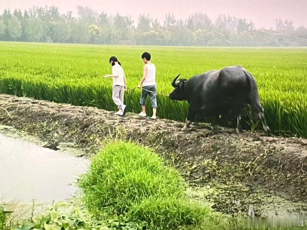青年路上话青春，又至五四青年节！青春年少时，总想少年心事当拿云；中年以后，才知且
