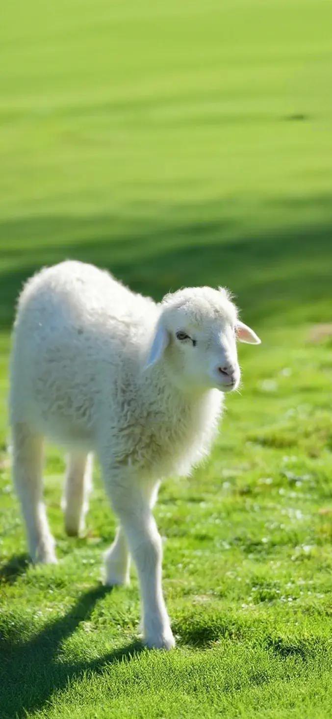 莫言：被人欺负时，要把事情闹大，他们就是赌你会沉默，你要明白，当你有了不起的能力