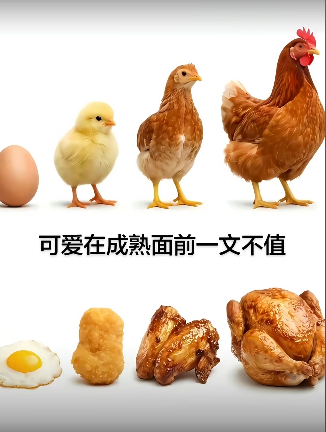 可爱在成熟面前一文不值 