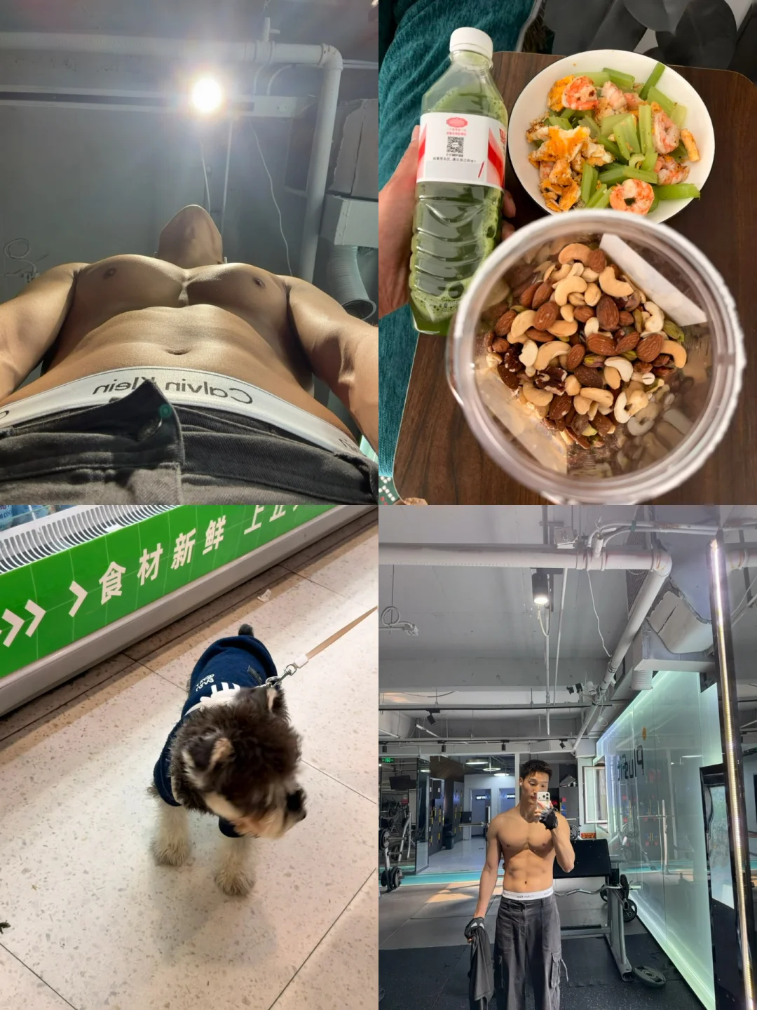 健身｜健身房｜狗🐶