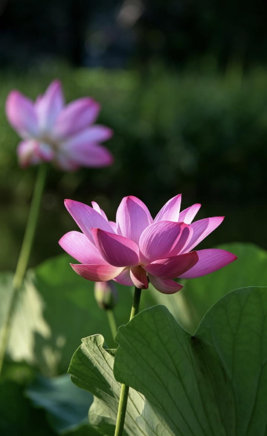 性学专家说：
“任何男人和女人，只要他们是异性，只要在一起相处时间长了，他们就一